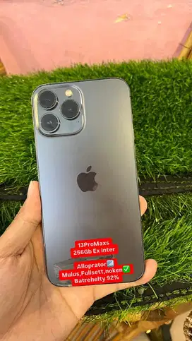 iPhone 13ProMaxs internal 256Gb Ex inter