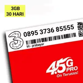 Nomor cantik tri kwartet ekor