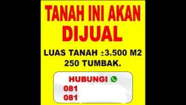 X BANNER BACKDROP DAN SPANDUK SAKURA PRINT JAKARTA UTARA