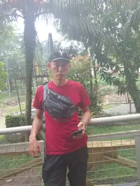 Loker supir pribadi to box
