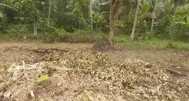DIJUAL TANAH KAVLING MULAI  45 JUTA LOKASI LENDAH KULON PROGO.JK13297
