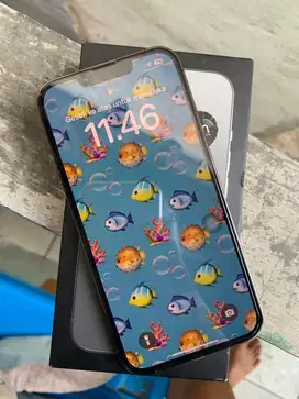 Iphone 13 Pro 256gb Ibox