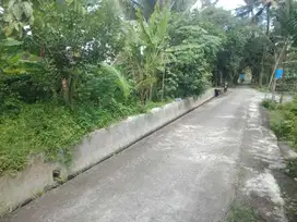 DIJUAL TANAH SAWAH BERWUJUD PEKARANGAN 85JT NEGO DEKAT POLSEK TEMPEL