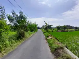 Jl Jambon Jogja, Banyak Villa dan Kos Ekslusif