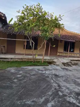 dijual rumah murah luas tanah 300 meter full jati