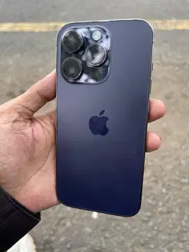 iphone 13 gold 256 ibox
