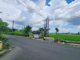 Tepi Jl. Raya Sambiroto, 2 Menit Pamella 7 Supermarket