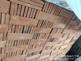 JuaL bata tempel expose bafel dr mojosari