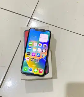 Iphone X 256gb ex inter fullset
