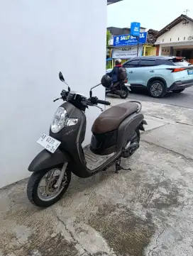 Honda scoopy 2019