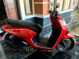 Honda Genio 2021