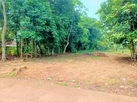 Promo Kavling 1,4 Jt-an/m2, Dekat Jl. Raya Cileungsi