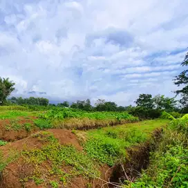 Kavling Eksklusif di Sumbersekar! Dekat Fakultas Kedokteran