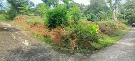 Dijual tanah super murah dekat jalan raya dikerjo karanganyar solo