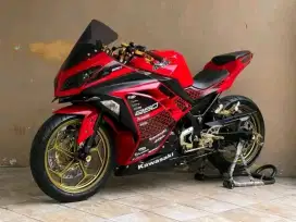 Kawasaki 250fi 2013
