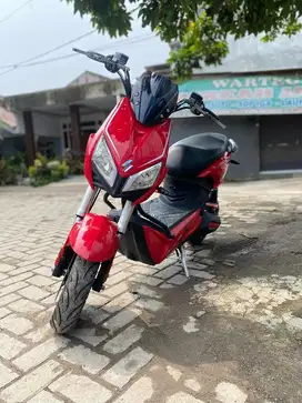 Sepeda listrik SELIS JALAK PRO (Rare)