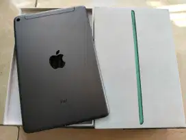 ipad mini 5 mulus 256 GB wifi celluler