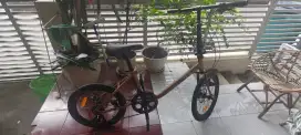 Sepeda minion 20 Exotic DX 7