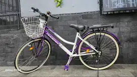sepeda mini seken