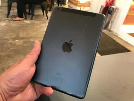 iPad Mini 64GB Cellular