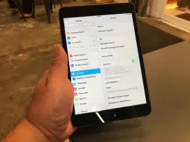 iPad Mini 64GB Cellular