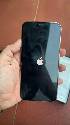 Iphone 12 pro max 256gb  (ibox)