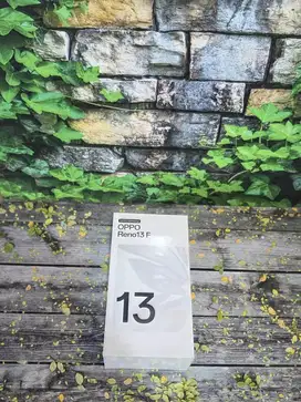 OPPO Reno 13 F!