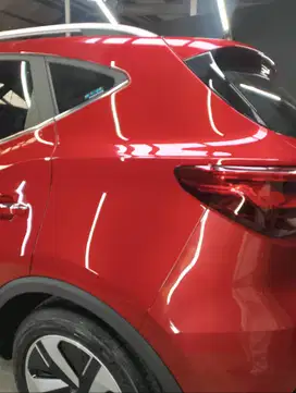 Repaint Cat, Poles, Nano Coating, PPF