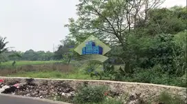 Dijual Tanah di Desa Dangdeur, Jayanti, Tangerang - Banten.
