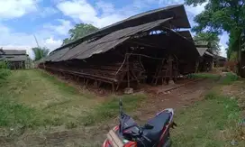 Take over peternakan ayam petelur di pasar kemis - tangerang