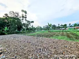Jual Kavling Murah di Sentul, SHM, Dekat Exit Tol