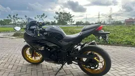 Kawasaki Ninja 250 FI