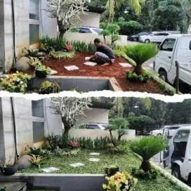 menerima dekorasi taman rumah minimalis