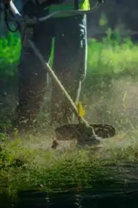 Jasa potong rumput