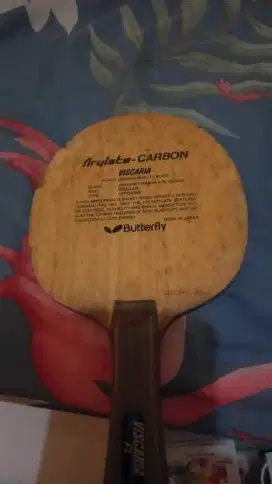 Bet tenis meja batterfly viscaria
