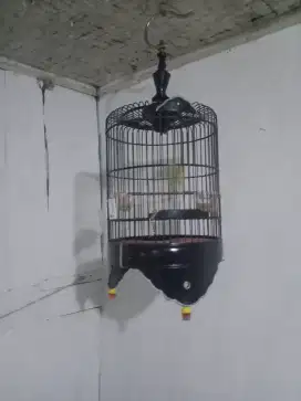 Sangkar burung plus isinya