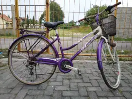 Sepeda keranjang Serra Siera Phoenix siap pakai gleyer normal bagus