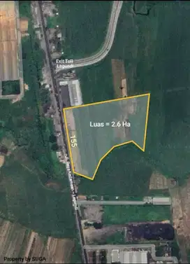 DIJUAL TANAH STRATEGIS DRIYOREJO GRESIK