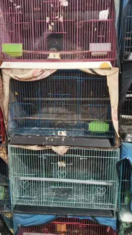 kandang besi burung