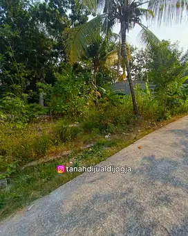 Tanah dekat Kampus UMY di Bangunjiwo Kasihan Bantul Siap Bangun