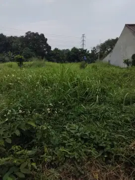 DIJUAL SEBIDANG TANAH DATAR, TAK JAUH DARI GERBANG TOL CIMANGGIS DEPOK