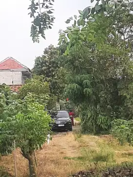 Jual murah tanah 450 meter di Sukawangi, Bekasi