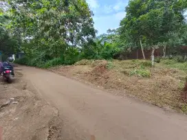 DIJUAL TANAH DI PASEKARAN BATANG