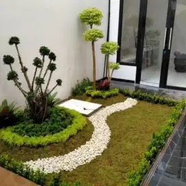 Tukang taman minimalis taman
