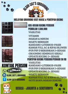 Pethotel kucing dan kos²san kucing