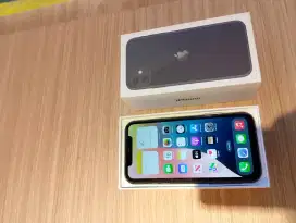 Iphone 11 64gb tenang warna baru