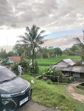 Jual Cepat Tanah Sawah Pasawahan Purwakarta