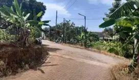 Tanah Tembalang Bulusan Undip