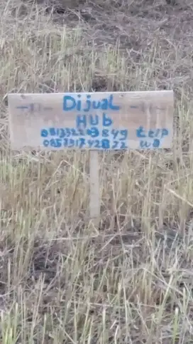 Di jual tanah Kavling  Mojorayung