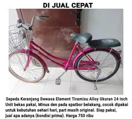 Sepeda Keranjang Dewasa Alloy Pink-24 inch